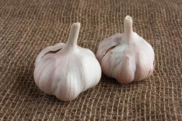 unpeeled ripe garlic on a burlap background