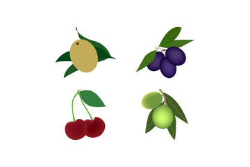 set of fresh organic fruits cherries, raw mangos, grapes, isolated on white background vector design for menu cover, restaurants background illustration. 
