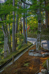 Fototapeta premium 比叡山延暦寺 境内風景