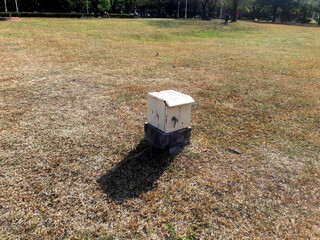 White transformer box on the grass