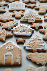 Winter holiday pattern-a set of gingerbread, the layout of the pattern. cookies in the form of a house, a christmas tree, a person, a star decorated with icing.