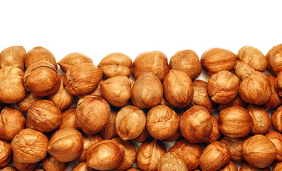 Close up picture of hazelnuts isolated on white background.