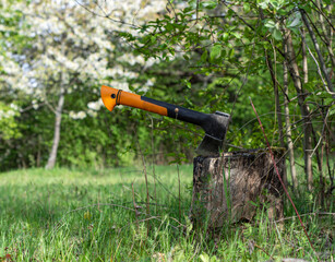 The axe in the chopping block