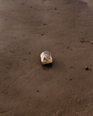 bottle in the sand