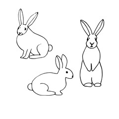 Easter set, vector illustration, bunnies, hand drawing