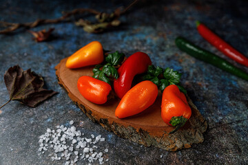 Still life with peppers yellow red orange on a wooden background. Dry branches and leaves. Dark background. Coarse salt.