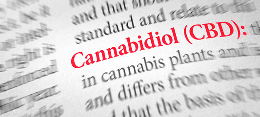 Definition of the word CBD in a dictionary