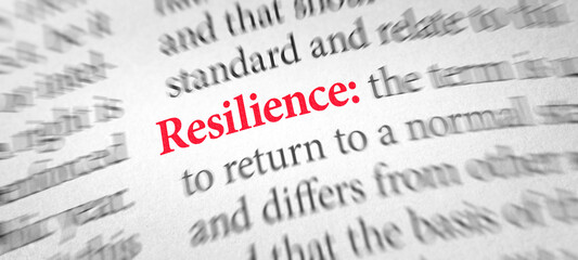 Definition of the word Resilience in a dictionary
