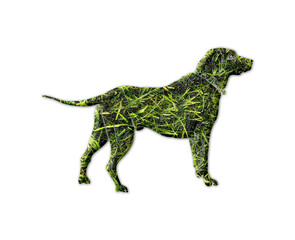 Dog pet symbol Grass green Logo icon illustration