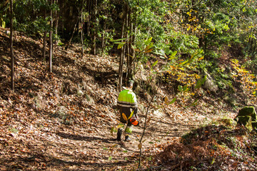lumberjack or forest worker walking along the forest path