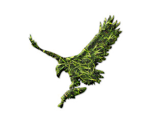eagle bird symbol Grass green Logo icon illustration