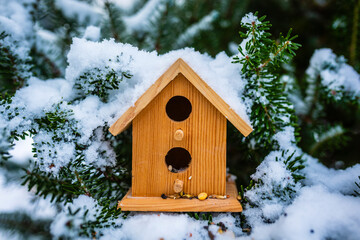 Bird food for the winter. Bird feeders.