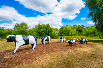 Fake cows at the park