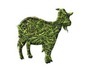 Goat symbol Grass green Logo icon illustration