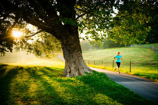 Greenwich park with morning mist,flare and blurry runner