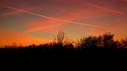 Natural Sunset with trees silhouette. Bright Dramatic Sky And Dark Ground. Warm Colours. Tree silhouetted against a setting sun. Photo of the sky. Background with sky