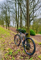 Fototapeta premium bicycle in the park