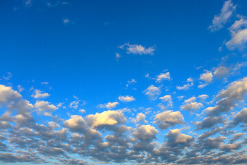 Little yellow altocumulus clouds in the blue sky in morning - obrazy, fototapety, plakaty