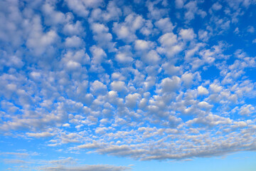 Little altocumulus clouds in the blue sky in morning - obrazy, fototapety, plakaty