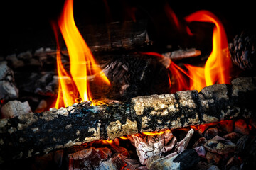 Leña ardiendo en una hoguera