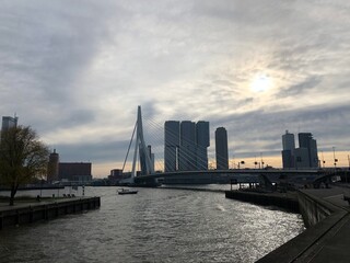 city harbour bridge Rotterdam