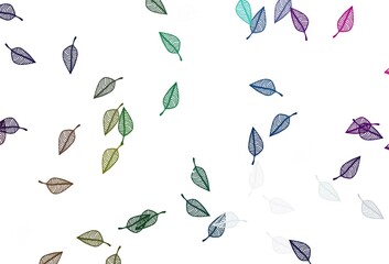 Light Multicolor, Rainbow vector doodle layout.