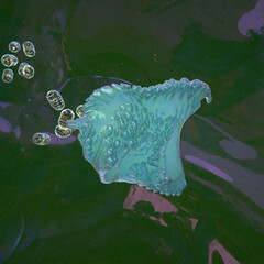 Golgi apparatus complex cell anatomy with mitochondria in background. 3d render.