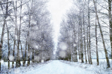 winter road landscape, beautiful view of a snowy road