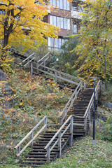 wooden stairs in the park