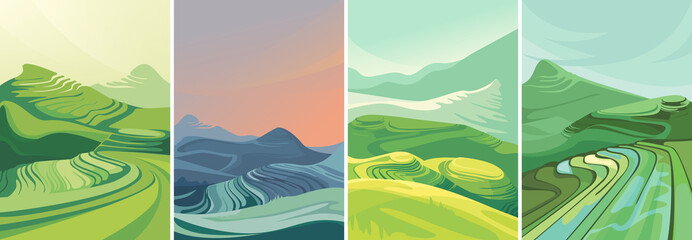 Set of rice terraces in vertical orientation. Beautiful agricultural sceneries.