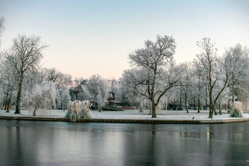 Obraz premium Frozen garden on the river the Leede in the South-Holland village of Warmond in the Netherlands