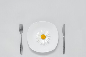 One chamomile flower on plate, cutlery fork and knife on grey background Concept vegetarian healthy eating diet or anorexia. Trendy colors 2021