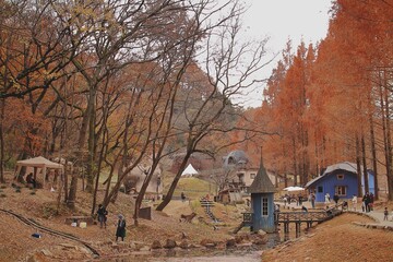 トーベ・ヤンソンあけぼの子どもの森公園の紅葉