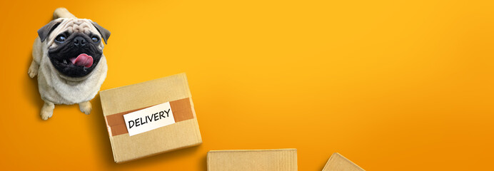 Happy pug dog with delivery boxes. Delivery service advertising concept with copy space.