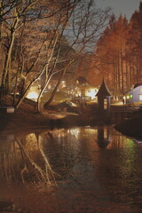 Fototapeta premium 夜のトーベ・ヤンソンあけぼの子どもの森公園