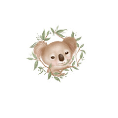 Cute koala baby bear sitting on the branches of eucalyptus. Hand drawn illustration on white background  © Fleur*Design