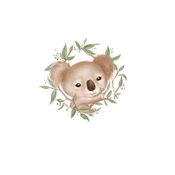 Cute koala baby bear sitting on the branches of eucalyptus. Hand drawn illustration on white background 