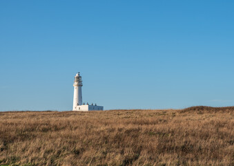 Fototapeta na wymiar Distant view of white lighthouse