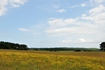 Obraz premium Loddiner Höft