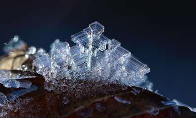Frost crystal on the grass in winter.
