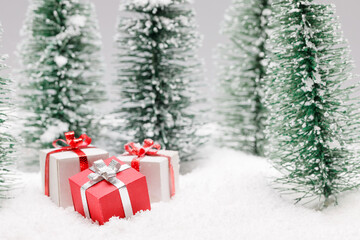 Christmas presents in forest