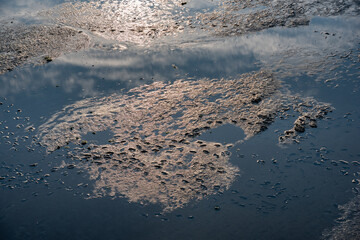 Wadden Sea by Dorum-Neufeld