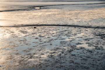 Wadden Sea by Dorum-Neufeld