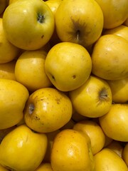 Golden Opal Apples