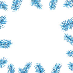 Fototapeta na wymiar Blue spruce branches square frame.