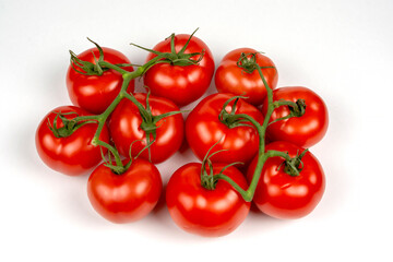large red tomatoes on a branch close-up