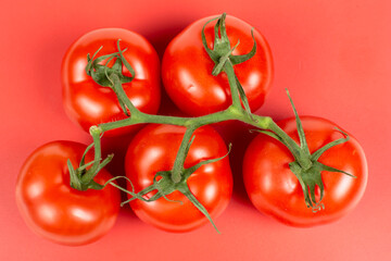 a bunch of large tomatoes on a red background