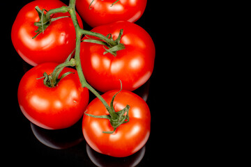 large red tomatoes on a branch close-up on a black background