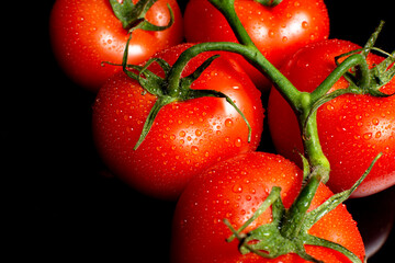 a bunch of large tomatoes with water drops on a black background