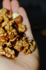 walnuts in the hands
